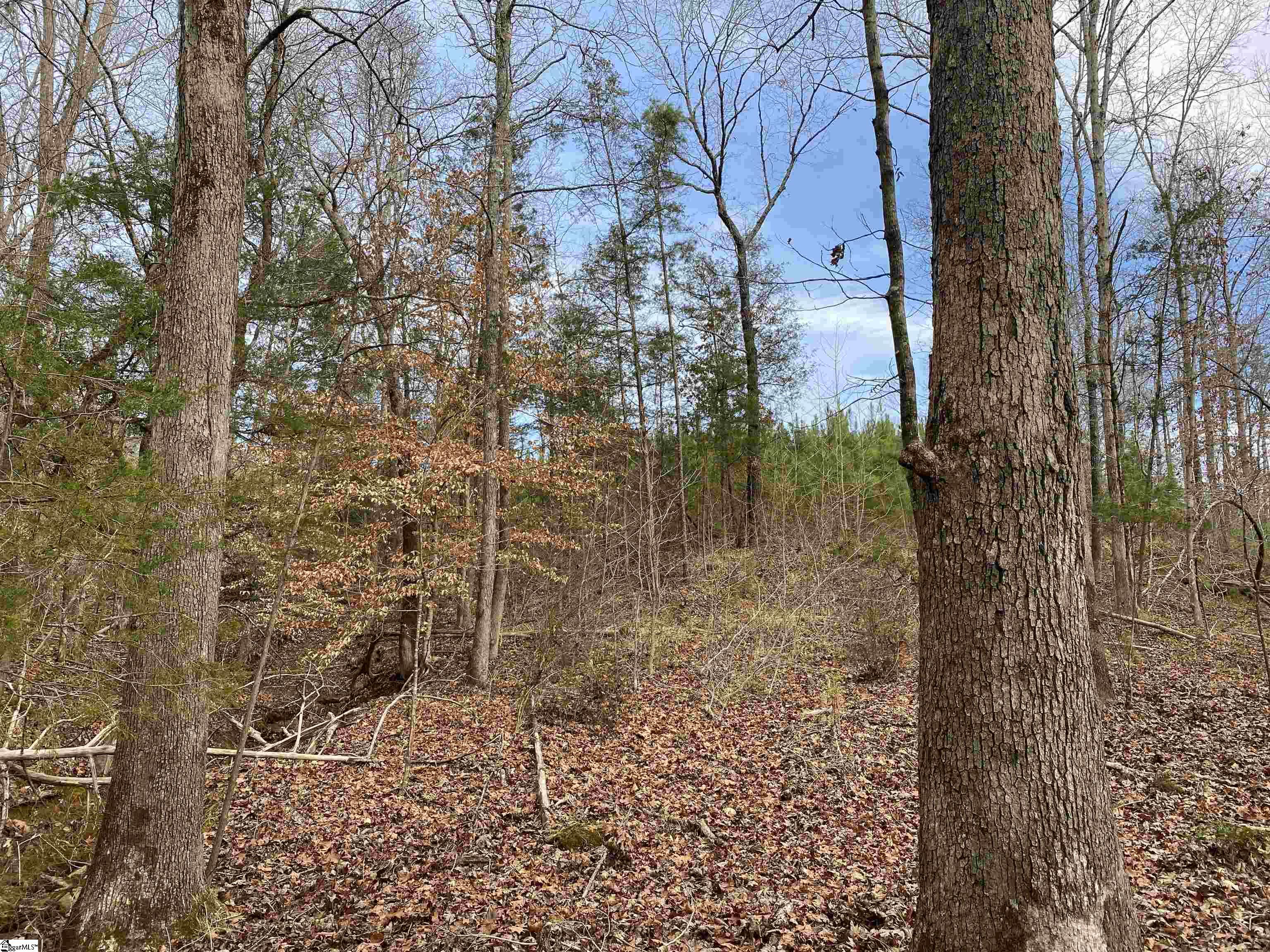 0 Nation Road Hodges, SC 29653 - Photo 8 of 29