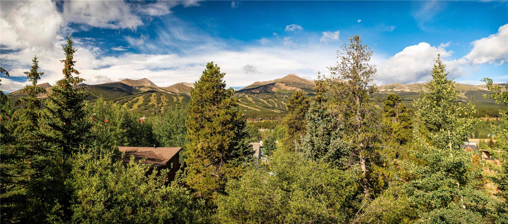 a view of a chairs and table in a yard