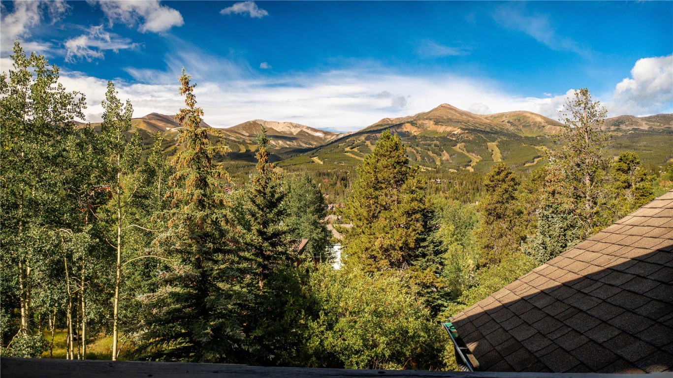 203 Wellington Road Breckenridge, CO 80424 - Photo 28 of 42