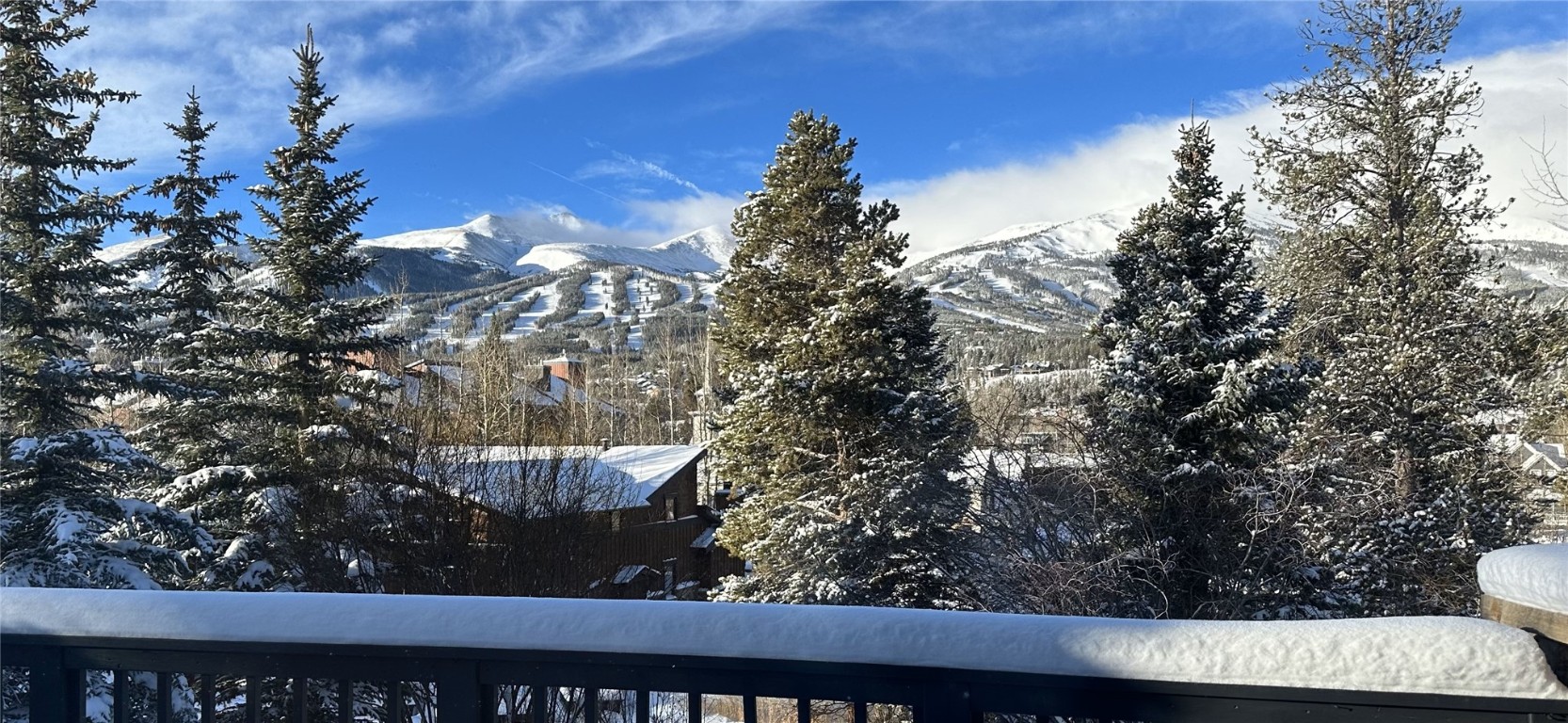 203 Wellington Road Breckenridge, CO 80424 - Photo 39 of 42 a view of a tree with a tree