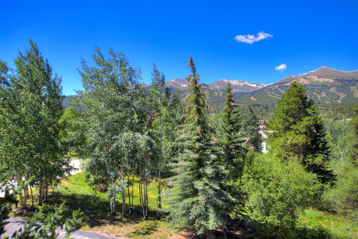 203 Wellington Road Breckenridge, CO 80424 - Photo 8 of 42 a view of a city with lots of trees