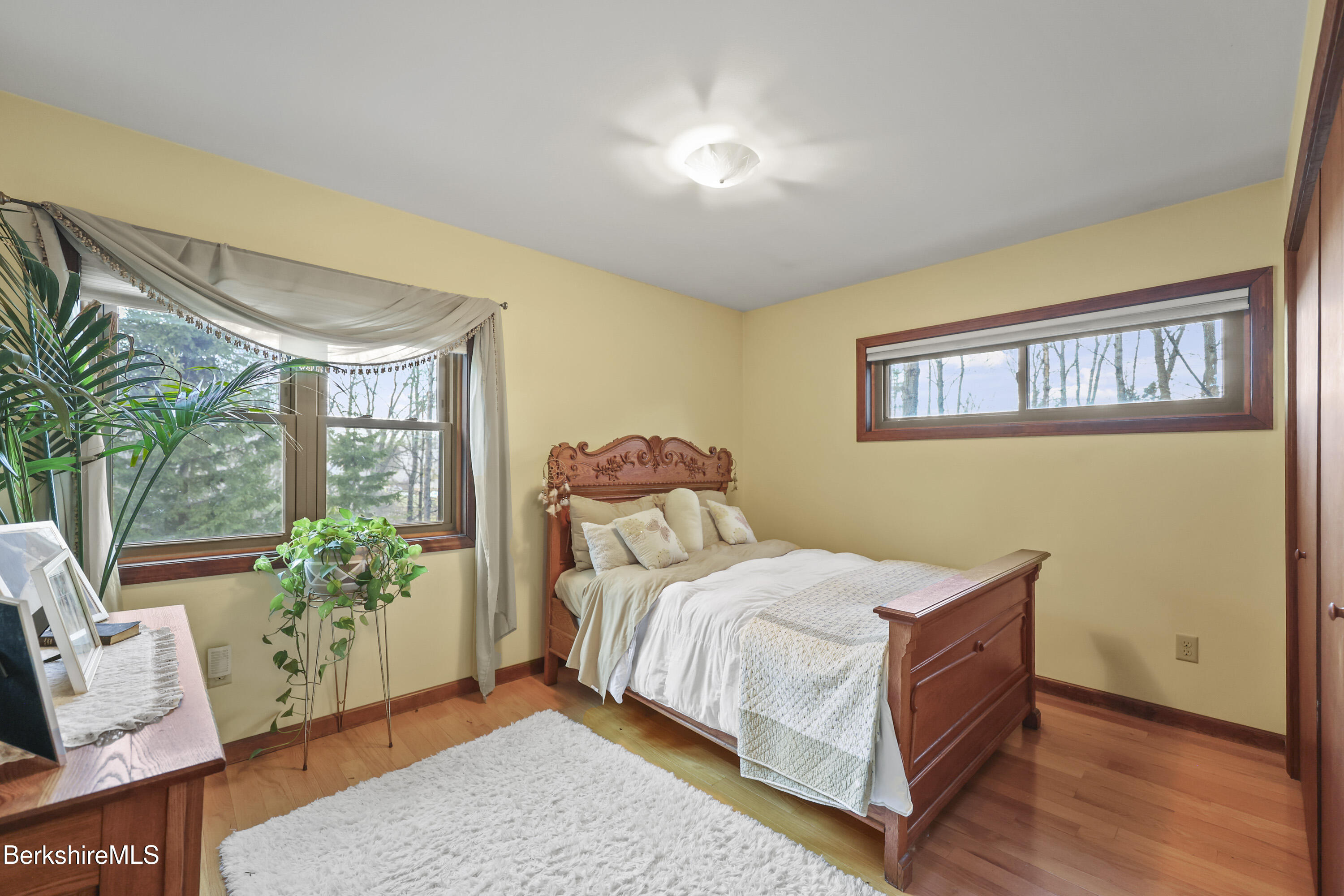 551 Tamarack Road Pittsfield, MA 01201 - Photo 24 of 51 a bedroom with a bed and a potted plant