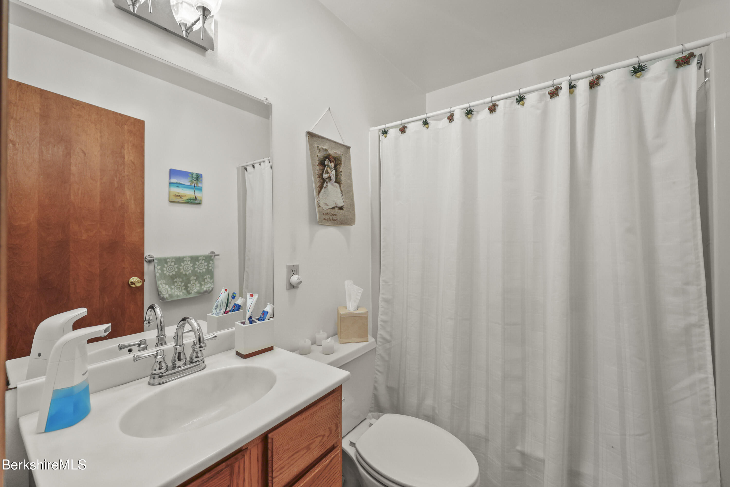 551 Tamarack Road Pittsfield, MA 01201 - Photo 26 of 51 a bathroom with a sink a toilet and shower curtain