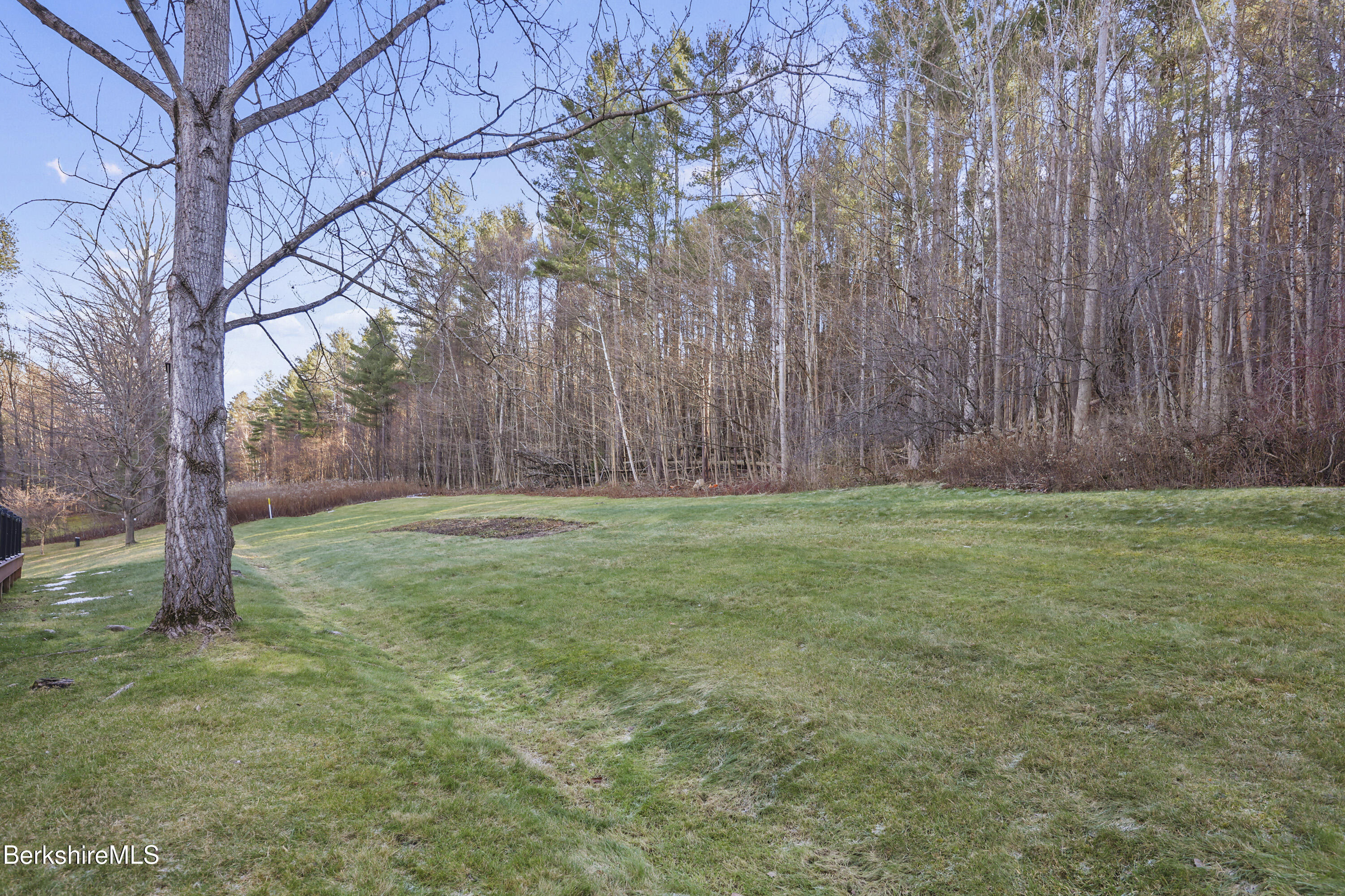 551 Tamarack Road Pittsfield, MA 01201 - Photo 45 of 51 a view of backyard with tree