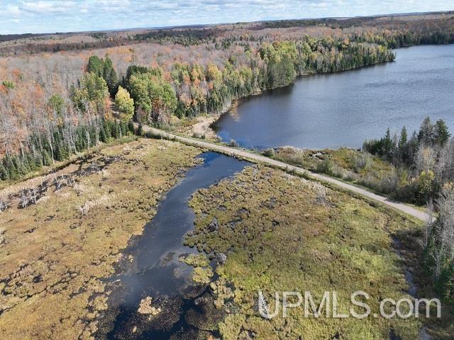 5800 Wolf Lake Road Watersmeet, MI 49969 - Photo 2 of 86