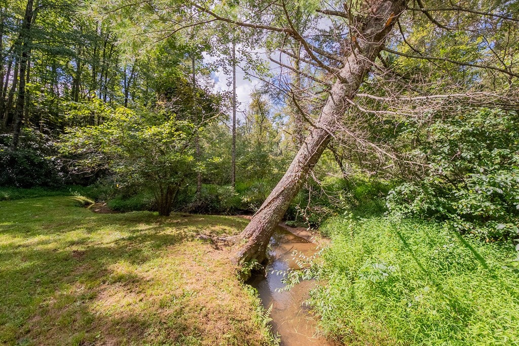 324 Spring Bud Road Fancy Gap, VA 24328 - Photo 75 of 100 Gallery Image 75