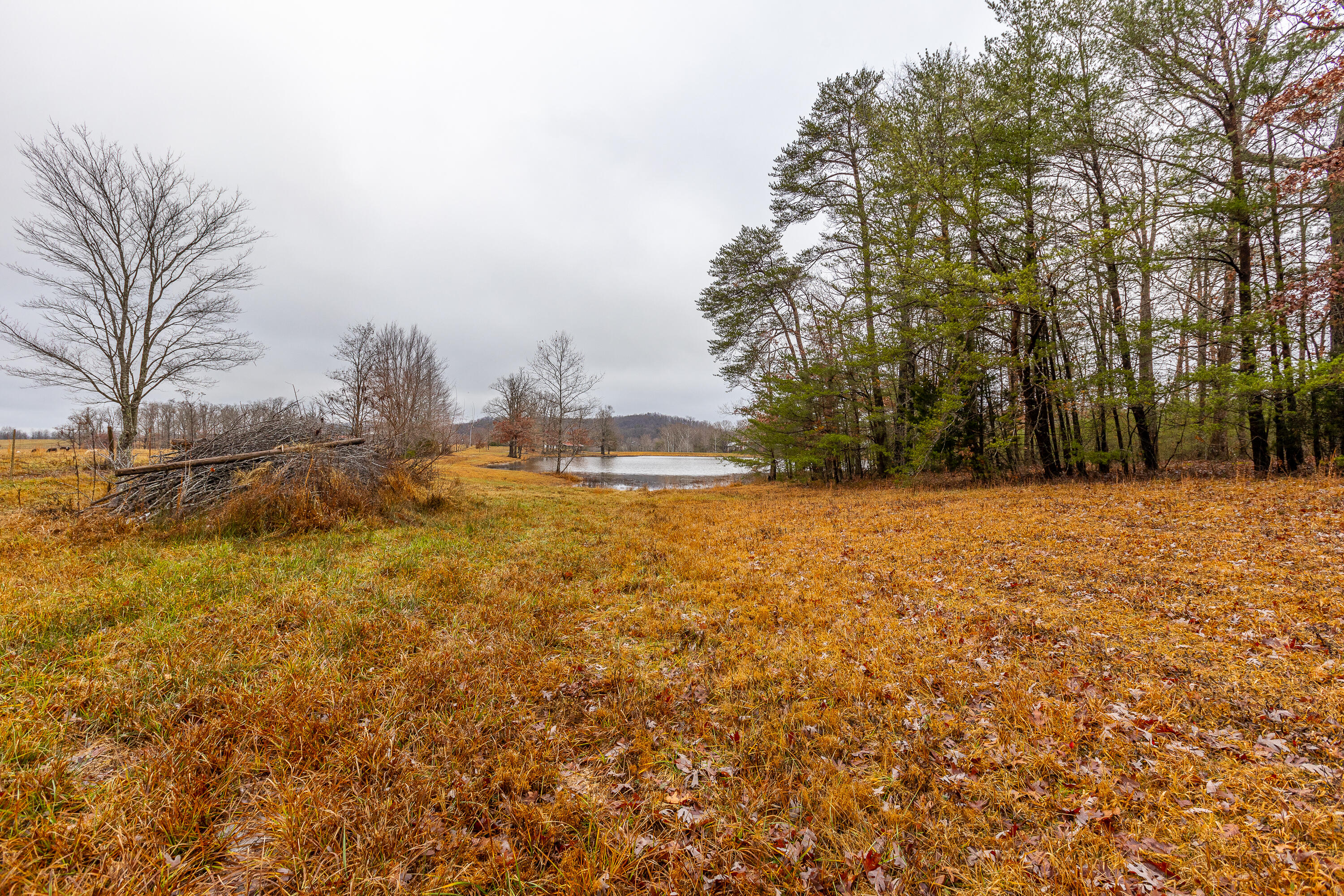 423 Gabbard Road Berea, KY 40403 - Photo 17 of 49 1-16