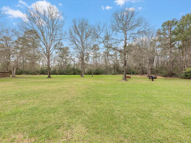 a view of a park with large trees