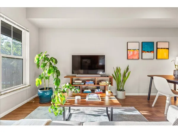 a living room filled with furniture and a potted plant