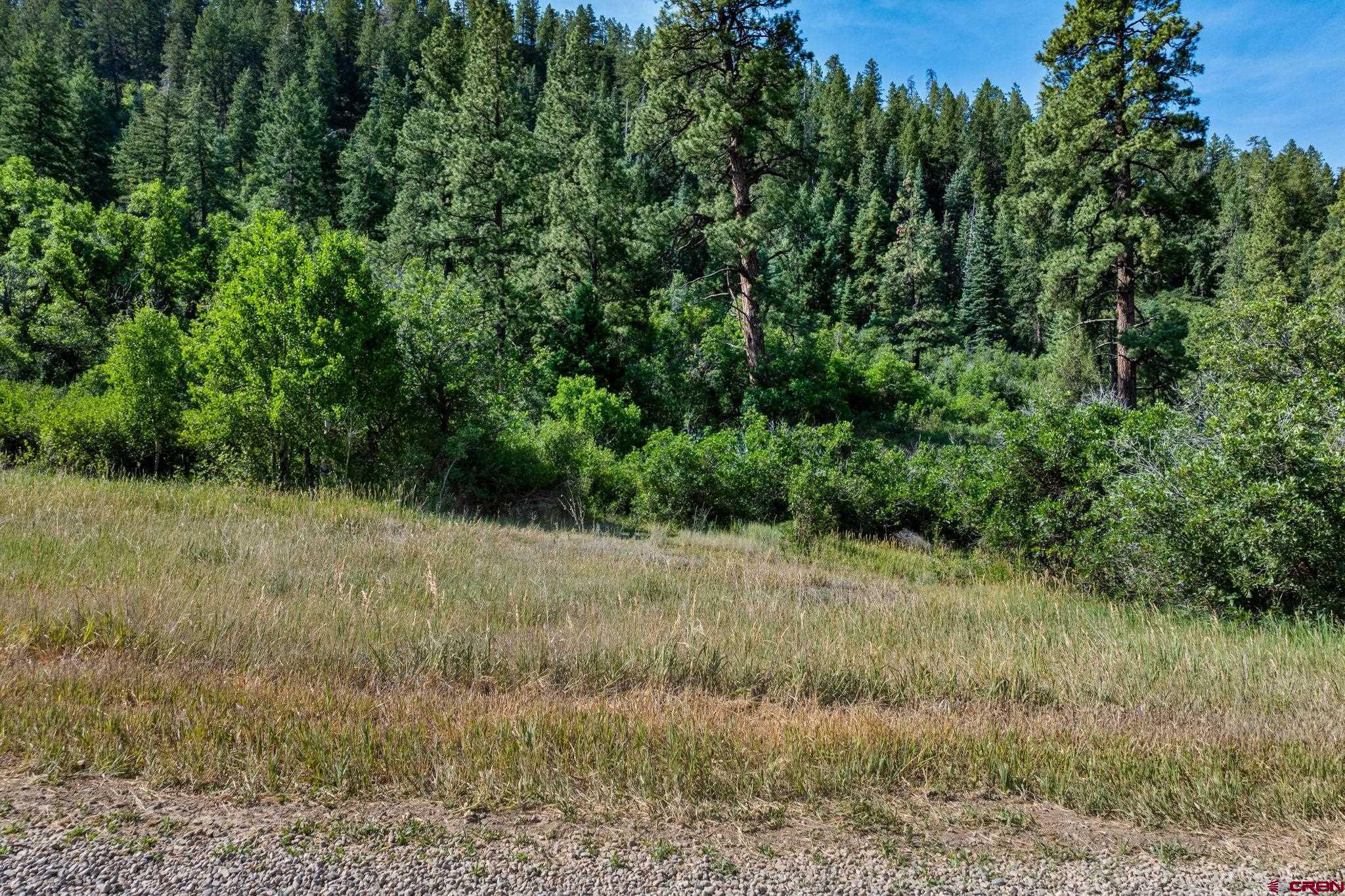 554 Pine Spring Drive Bayfield, CO 81122 - Photo 14 of 27