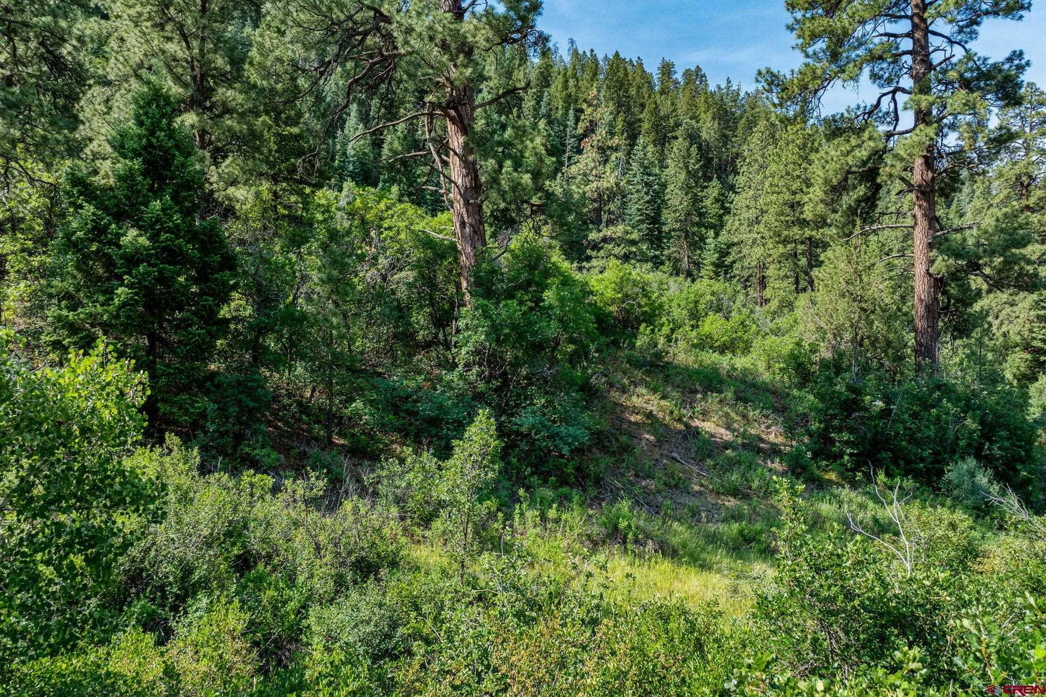 554 Pine Spring Drive Bayfield, CO 81122 - Photo 15 of 27