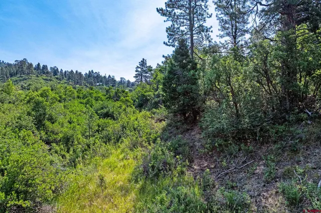 a view of a city with lush green forest