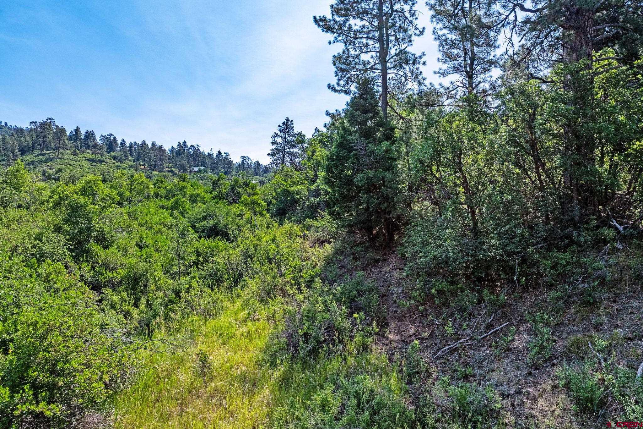 554 Pine Spring Drive Bayfield, CO 81122 - Photo 17 of 27