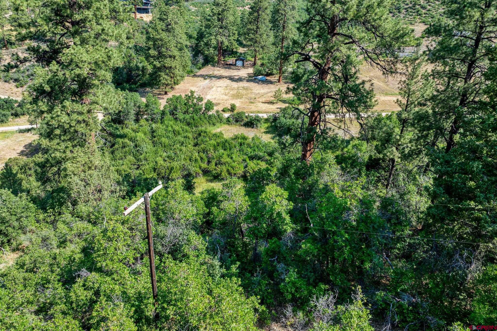 554 Pine Spring Drive Bayfield, CO 81122 - Photo 19 of 27