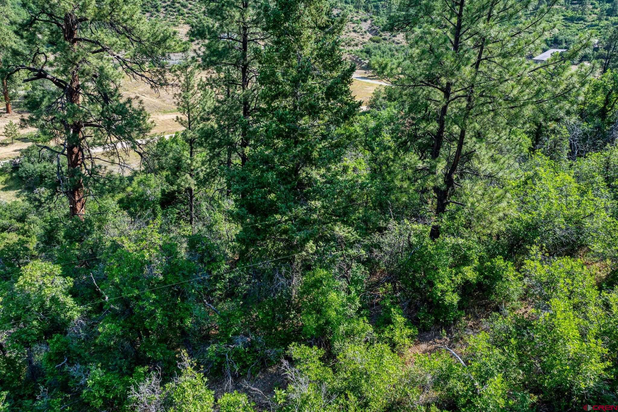 554 Pine Spring Drive Bayfield, CO 81122 - Photo 20 of 27