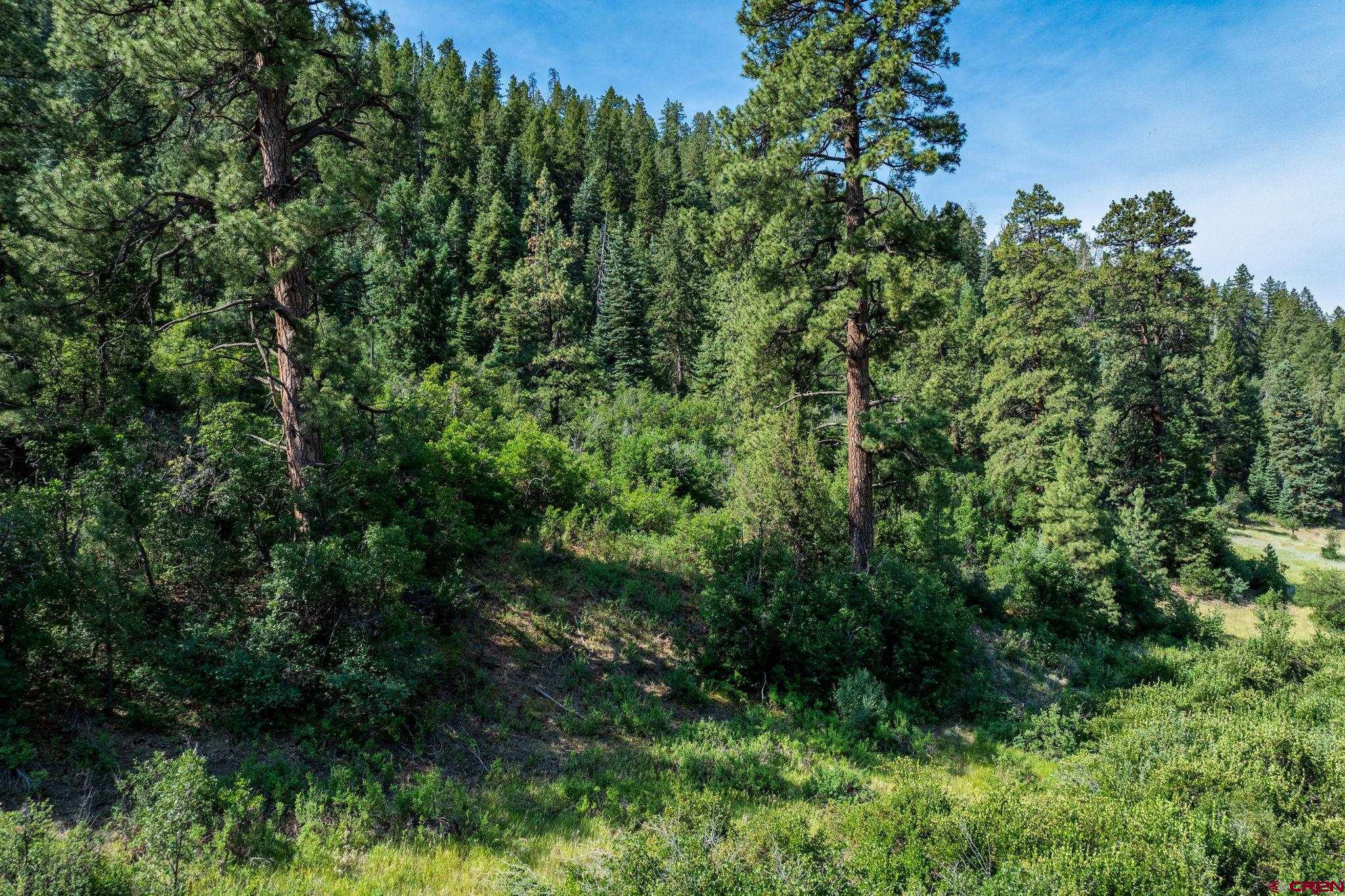 554 Pine Spring Drive Bayfield, CO 81122 - Photo 22 of 27