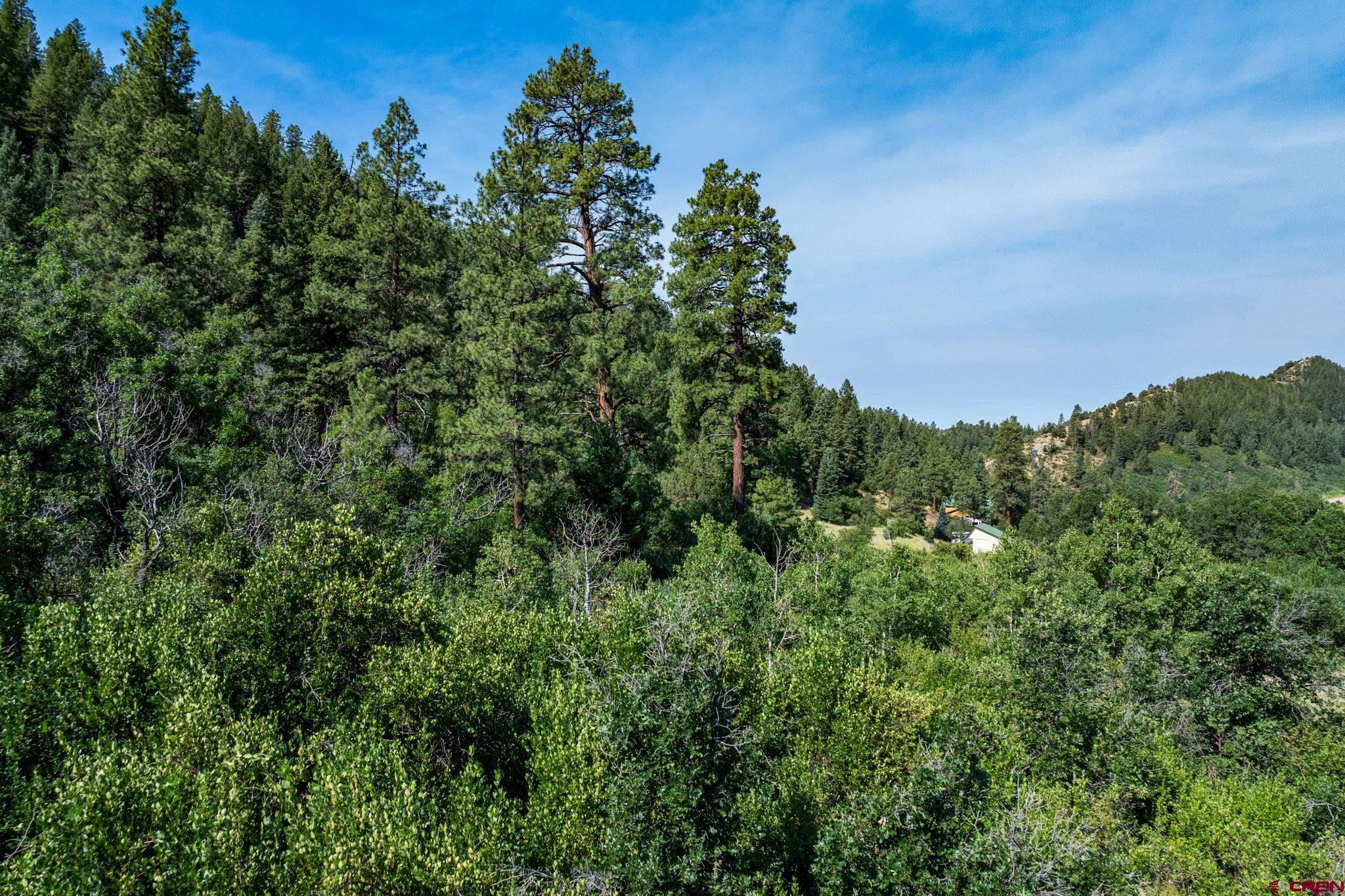 554 Pine Spring Drive Bayfield, CO 81122 - Photo 24 of 27