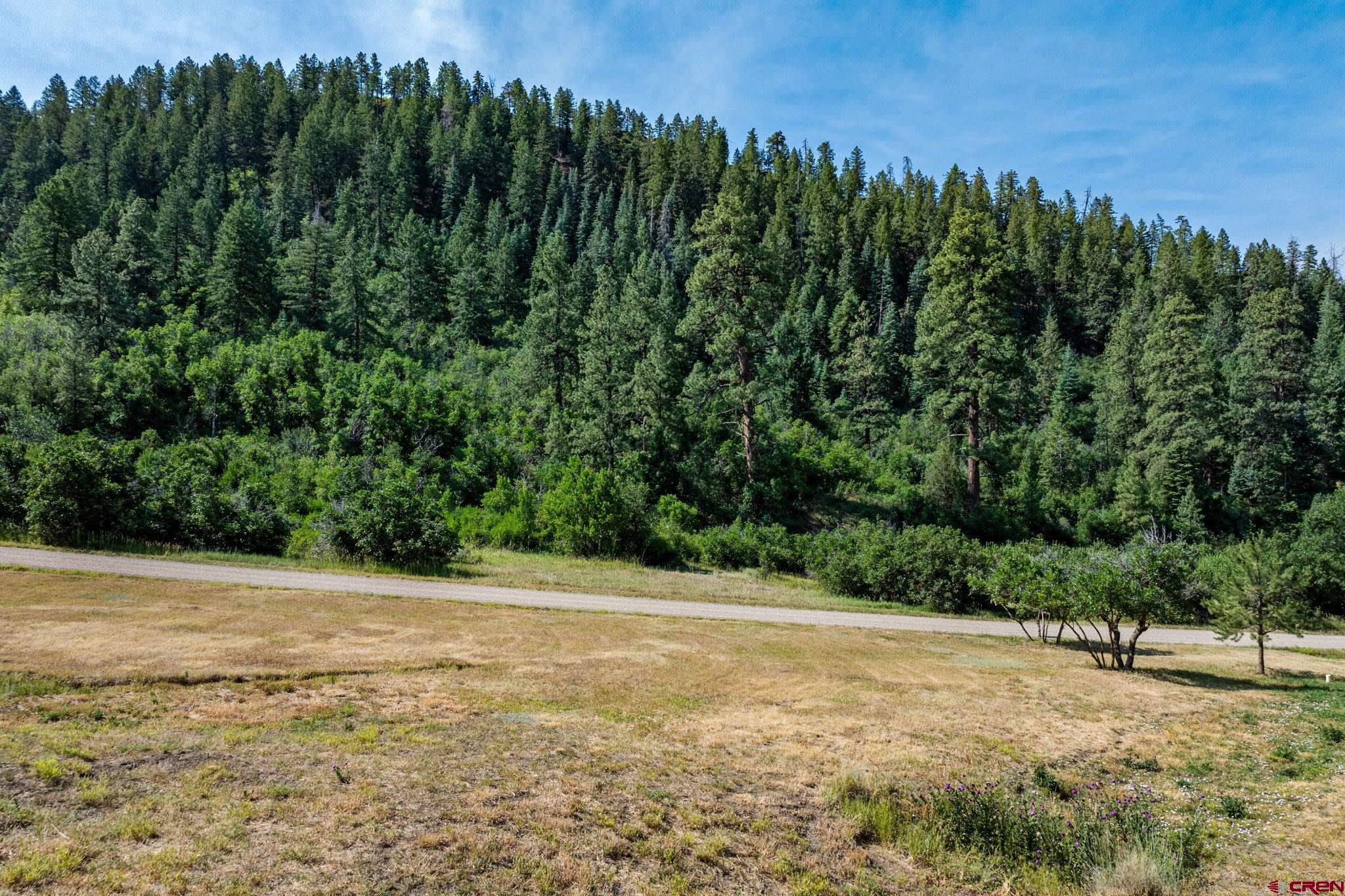 554 Pine Spring Drive Bayfield, CO 81122 - Photo 25 of 27