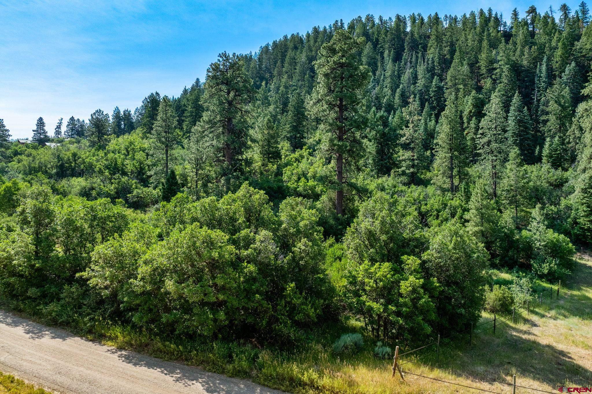 554 Pine Spring Drive Bayfield, CO 81122 - Photo 26 of 27