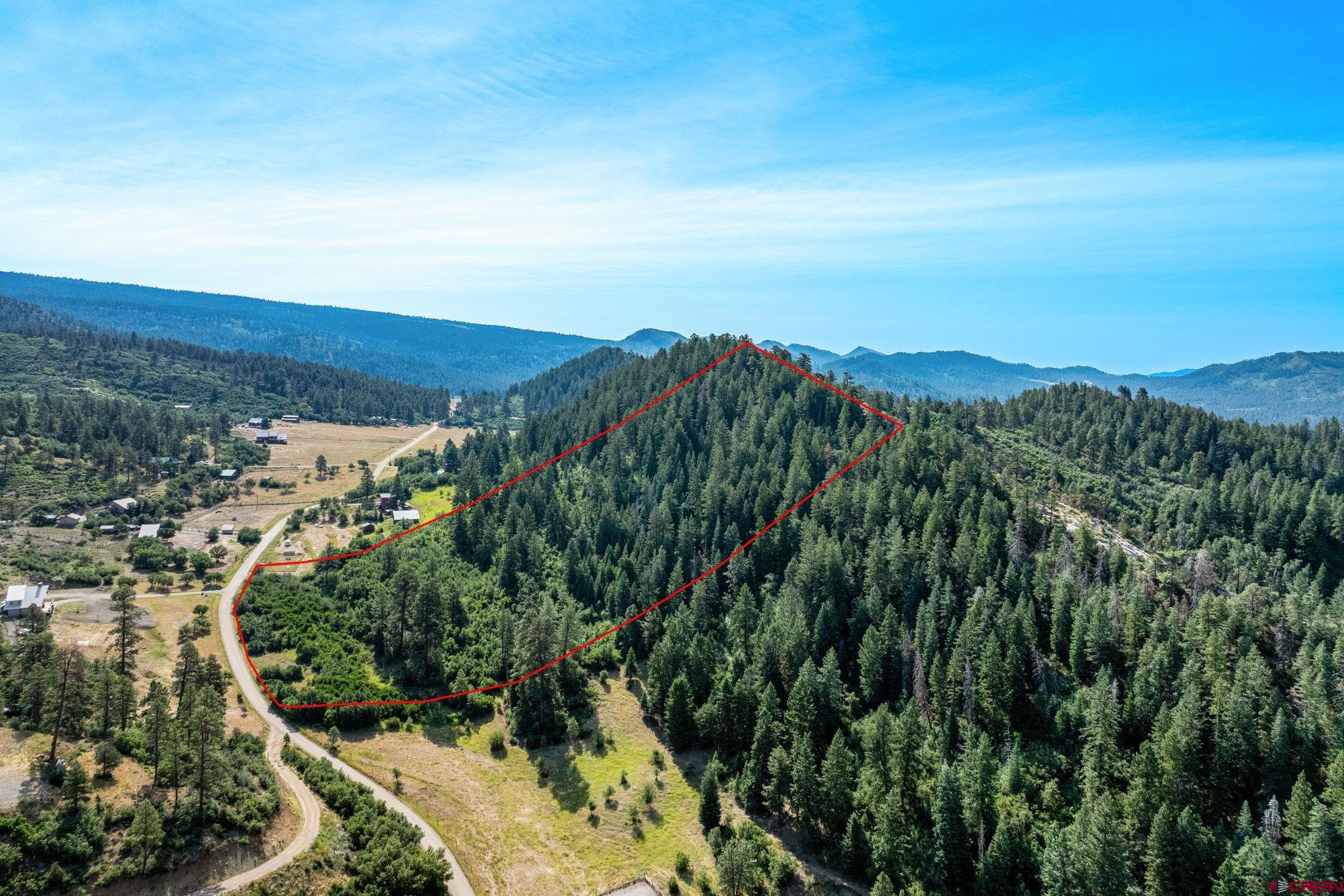 554 Pine Spring Drive Bayfield, CO 81122 - Photo 3 of 27