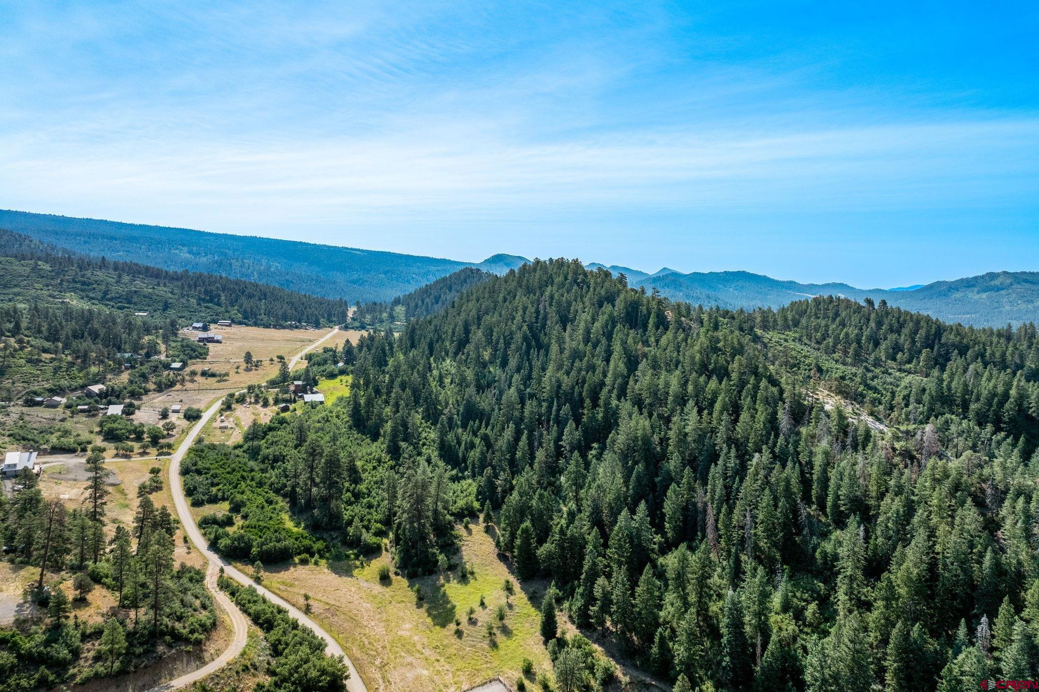 554 Pine Spring Drive Bayfield, CO 81122 - Photo 4 of 27