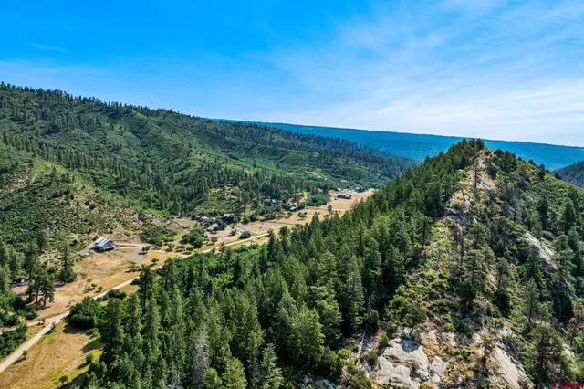 a view of a city with lush green forest