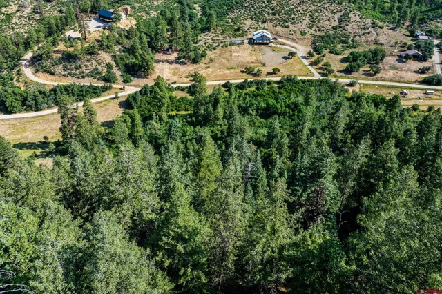 an aerial view of residential house with outdoor space and trees all around