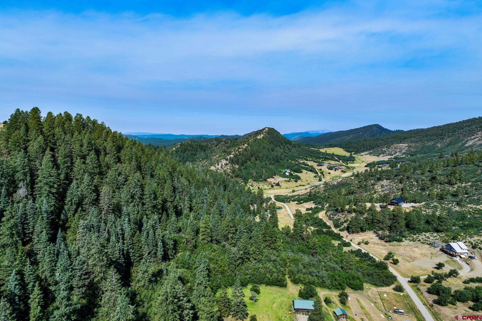 554 Pine Spring Drive Bayfield, CO 81122 - Photo 9 of 27