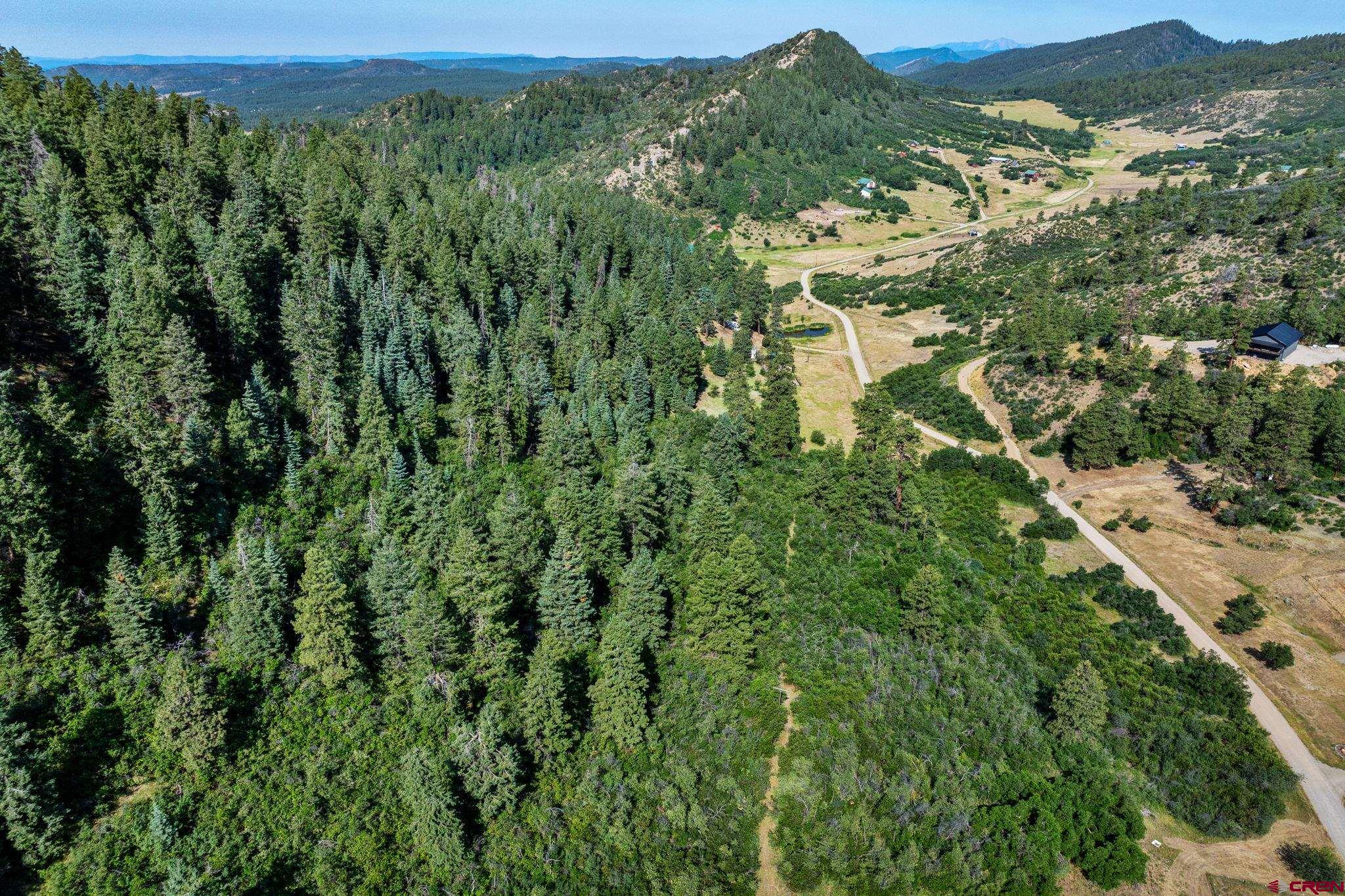 554 Pine Spring Drive Bayfield, CO 81122 - Photo 10 of 27