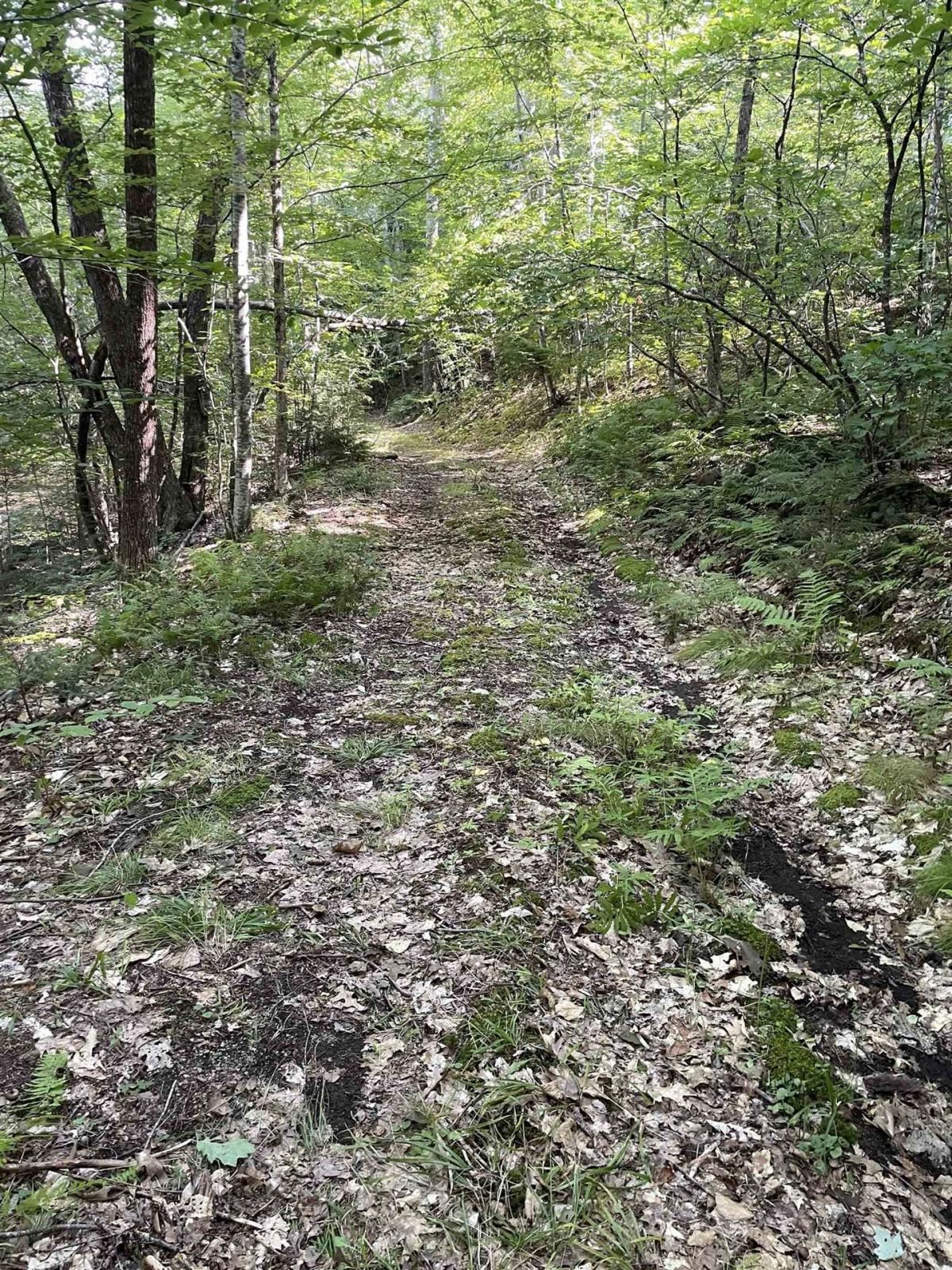 9 Cann Road Barnstead, NH 03225 - Photo 7 of 7