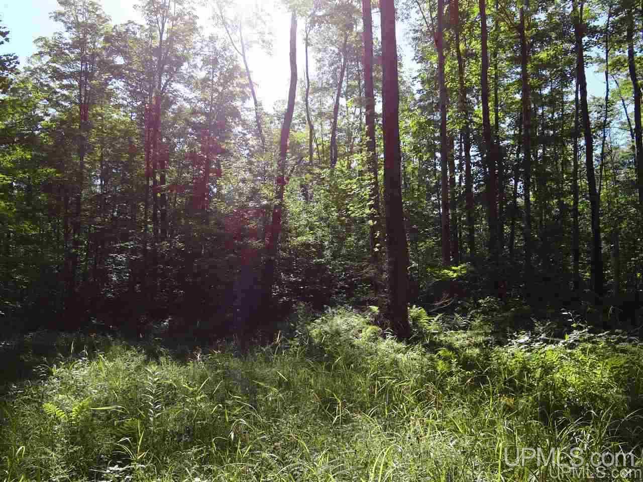 21660 Newberry Road Pelkie, MI 49958 - Photo 25 of 40