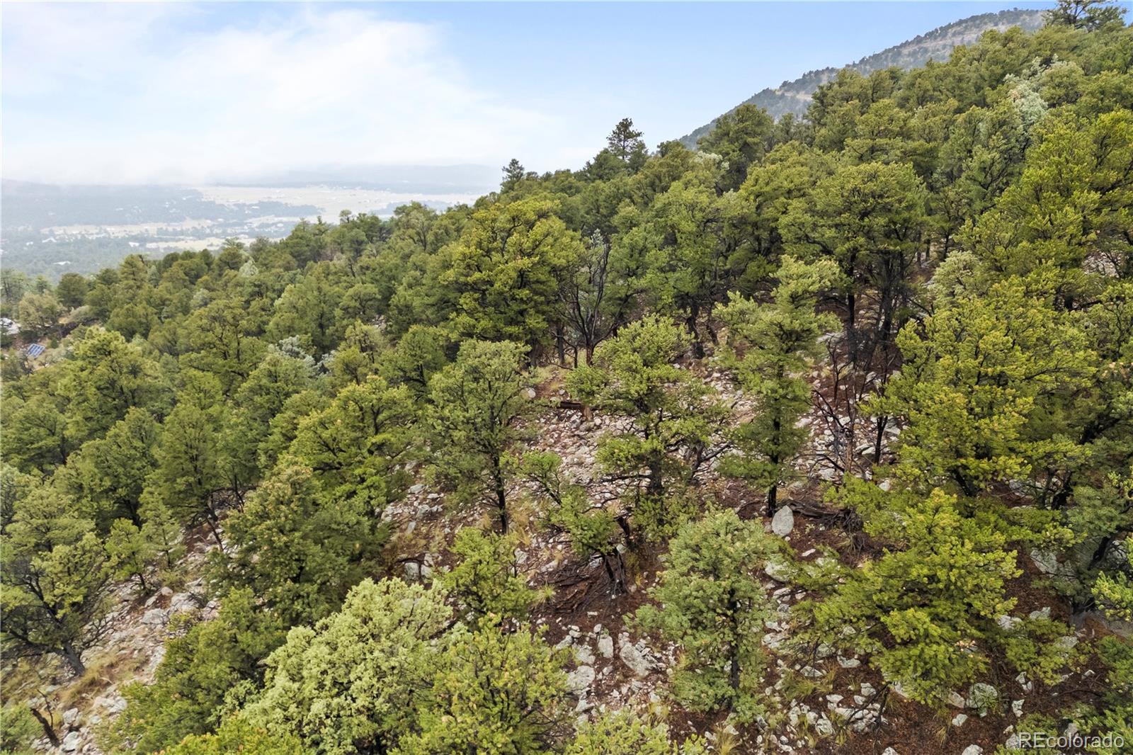 2125 J Path Cotopaxi, CO 81223 - Photo 3 of 12 a view of a green field
