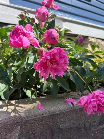 $700,000 | 4033 Warwick Boulevard, Kansas City, MO 64111