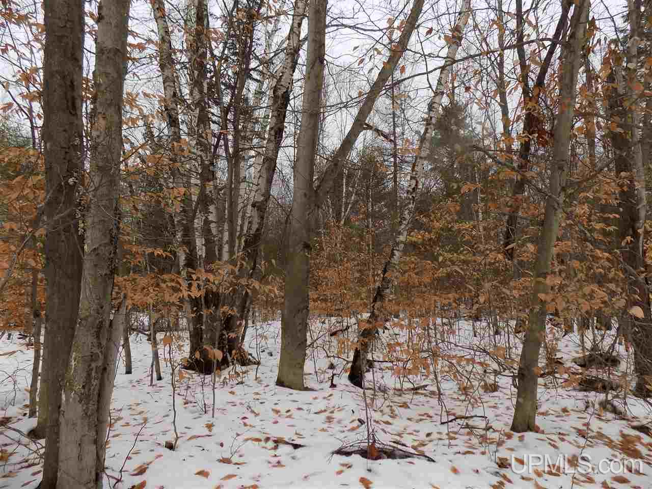 Tbd Co Rd 452 Manistique, MI 49854 - Photo 9 of 12 Gallery Image 9