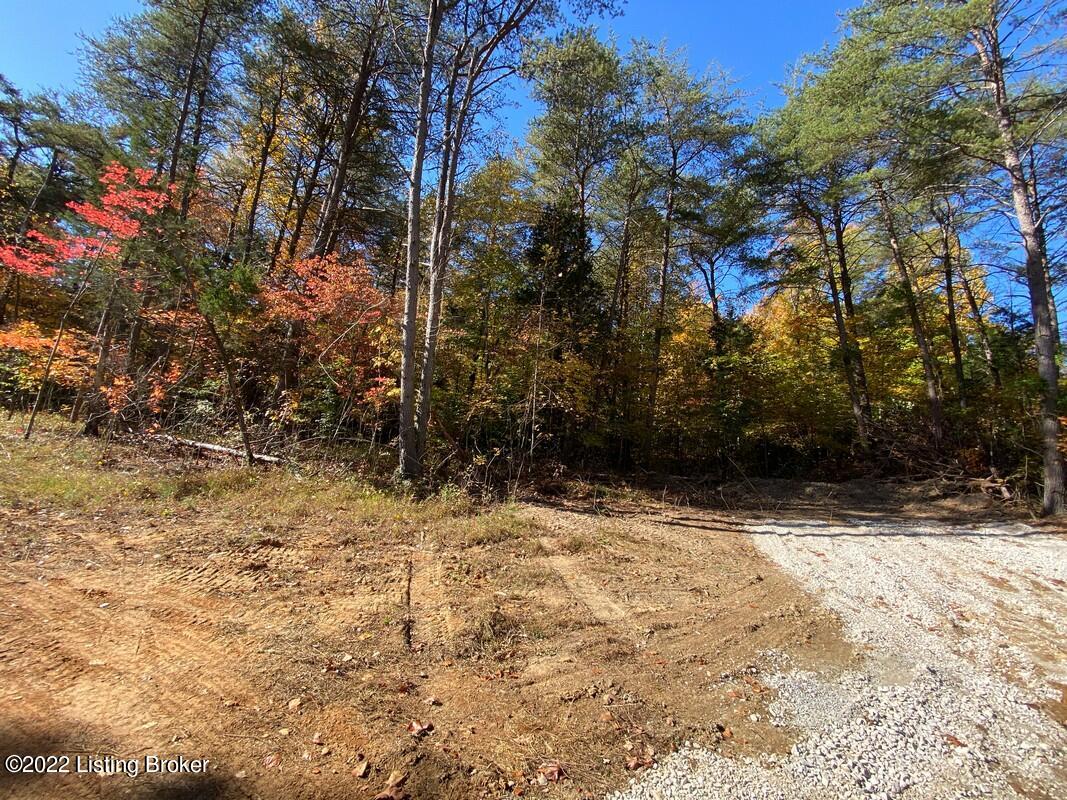 L3 Ted Logsdon Road Clarkson, KY 42726 - Photo 12 of 24 River View 101322211