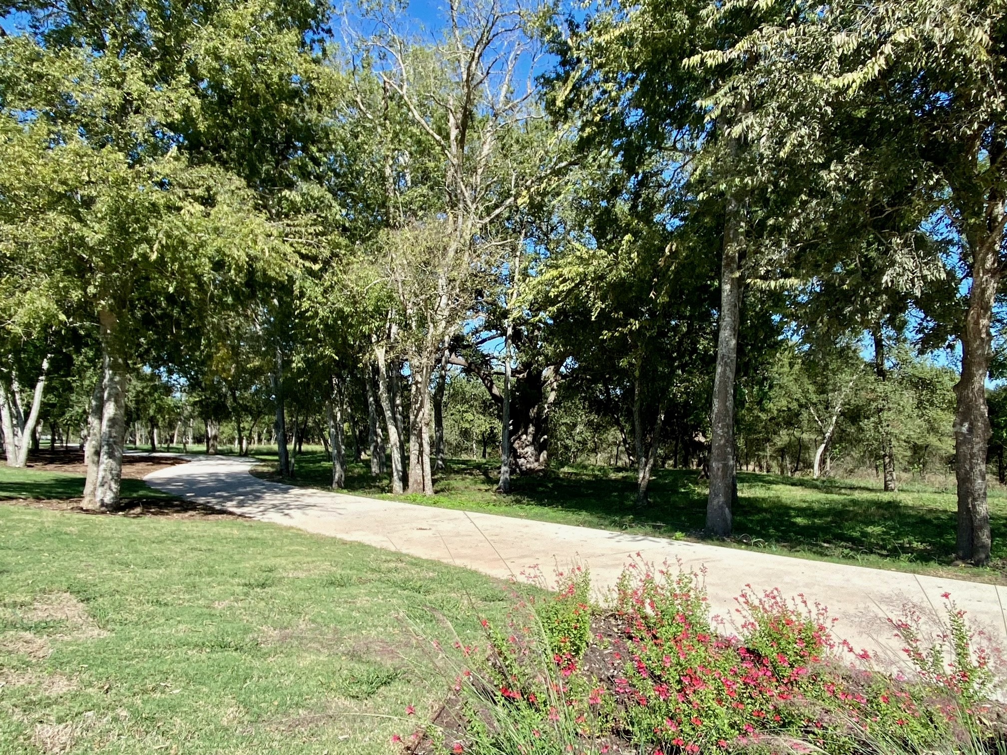 4705 Lava Island Drive Austin, TX 78747 - Photo 20 of 20