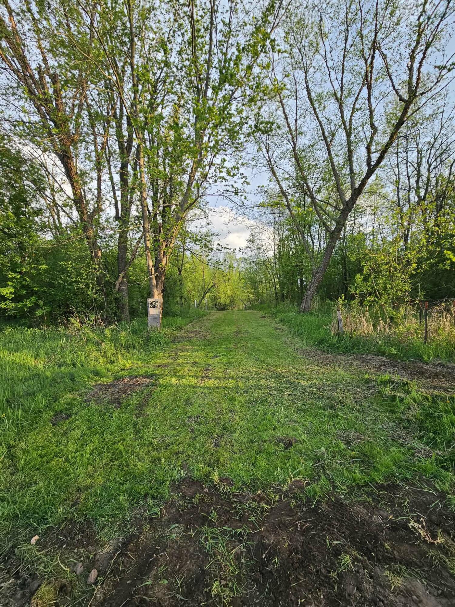 W16875 State Highway 95 Springfield, WI 54659 - Photo 17 of 22 Mowed Trails