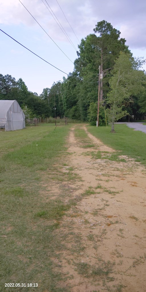 462 Bump Road Webb, AL 36376 - Photo 2 of 29