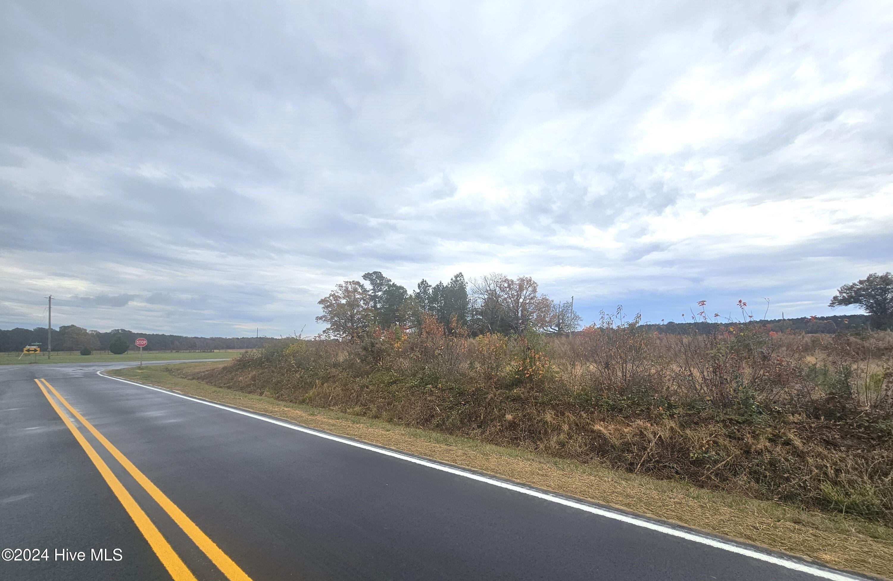 Tbd Lasker Golf Course Road Woodland, NC 27897 - Photo 2 of 2 20241126_115044