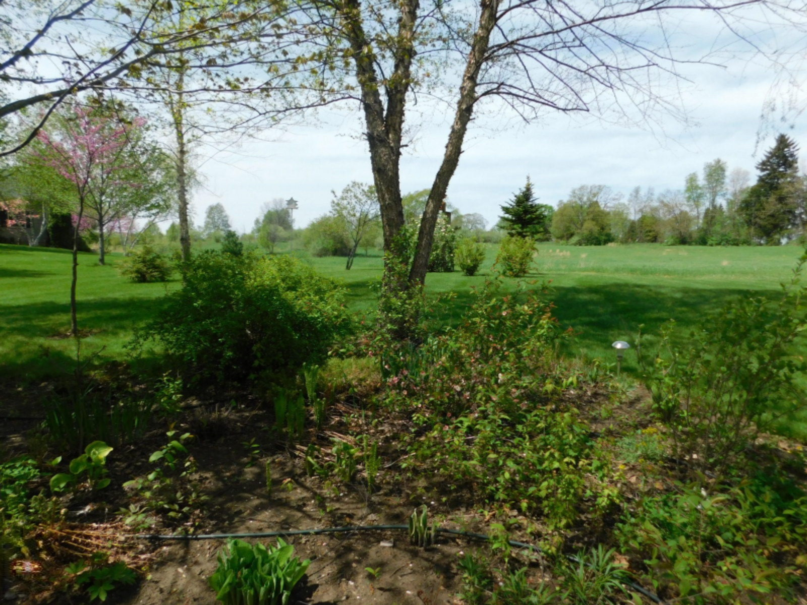 14155 12 Mile Road Ceresco, MI 49033 - Photo 54 of 62 069