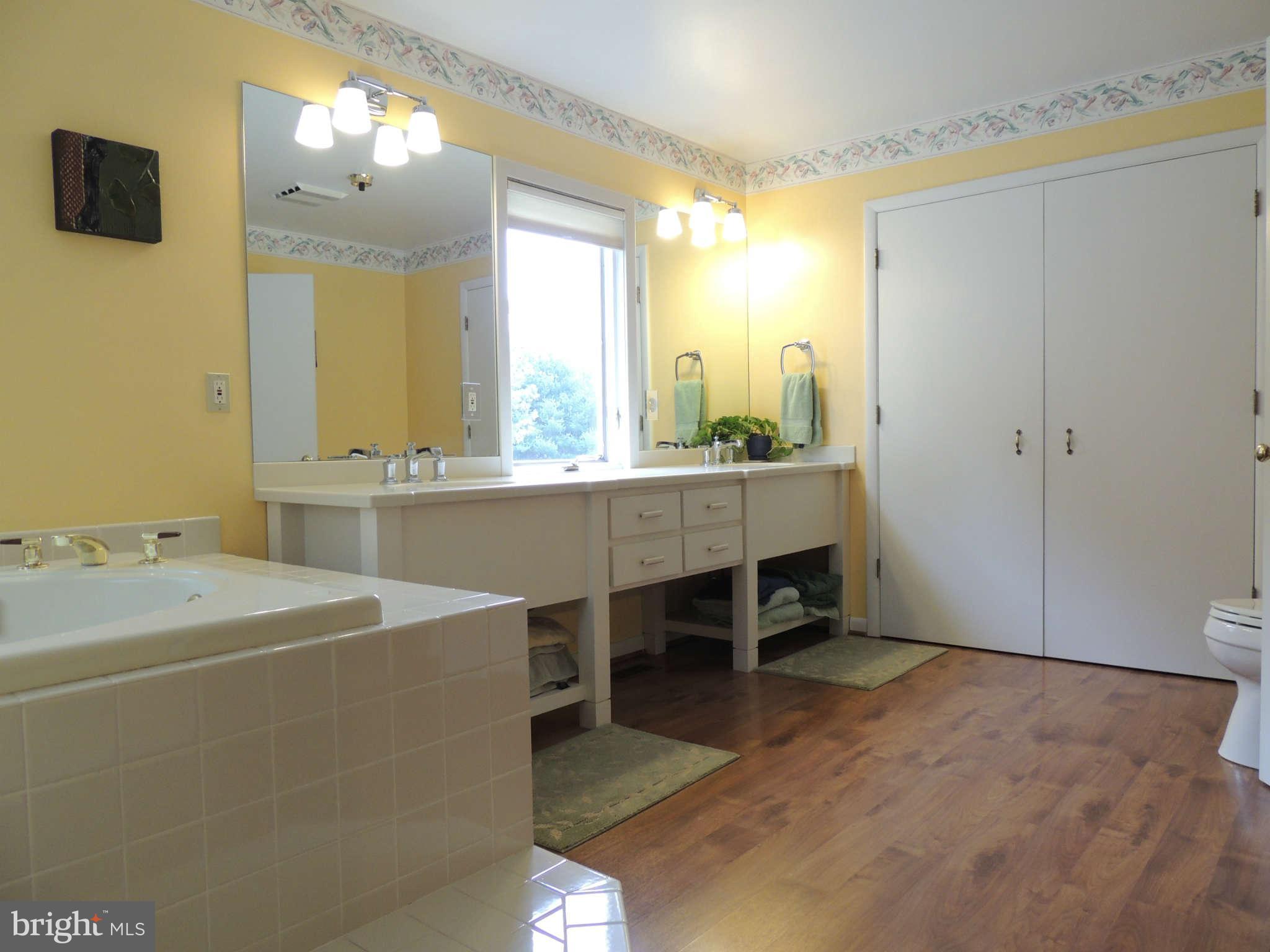 4320 Carrington Road Markham, VA 22643 - Photo 25 of 30 Bath (Master)