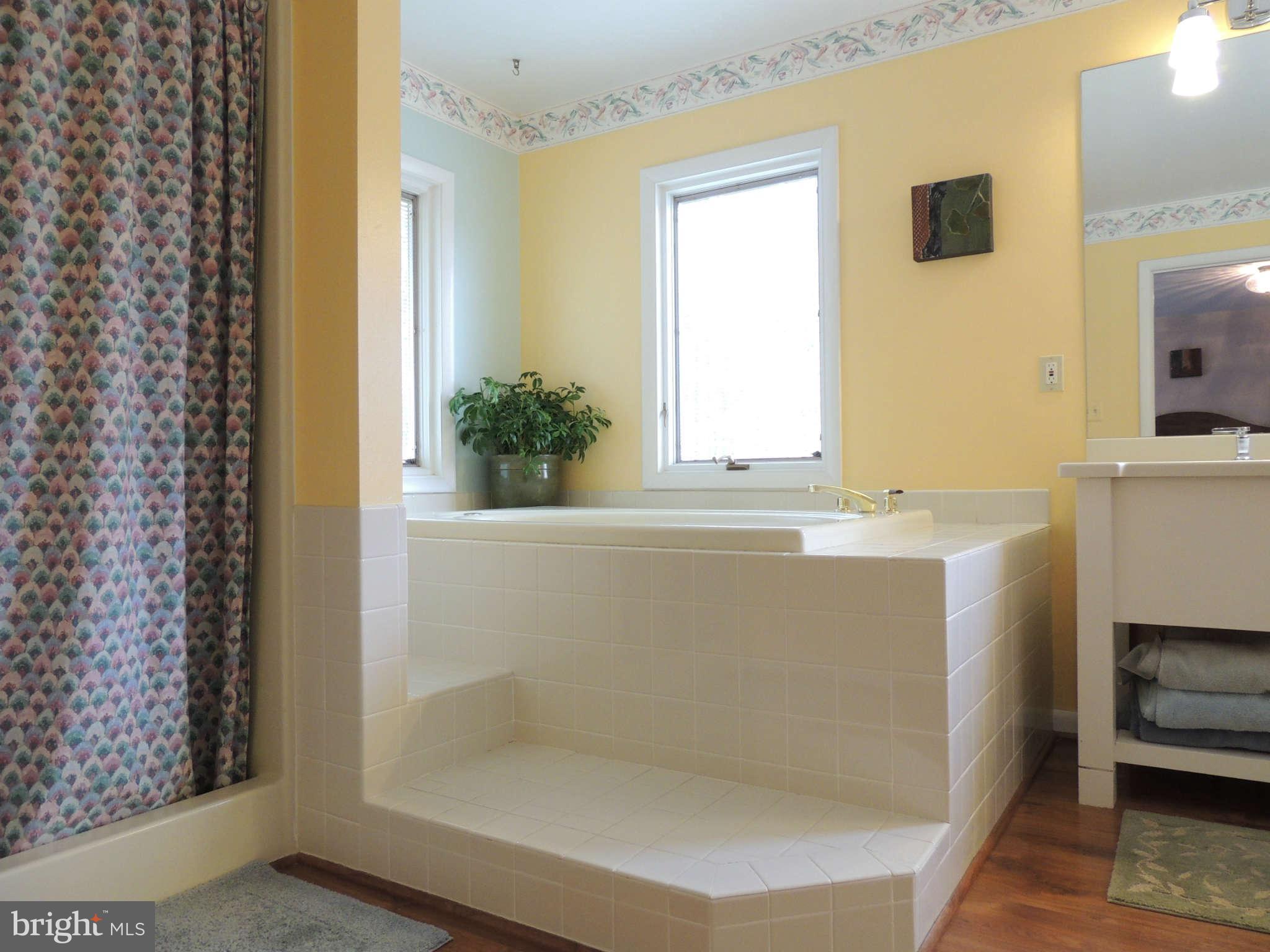 4320 Carrington Road Markham, VA 22643 - Photo 26 of 30 Bath (Master)