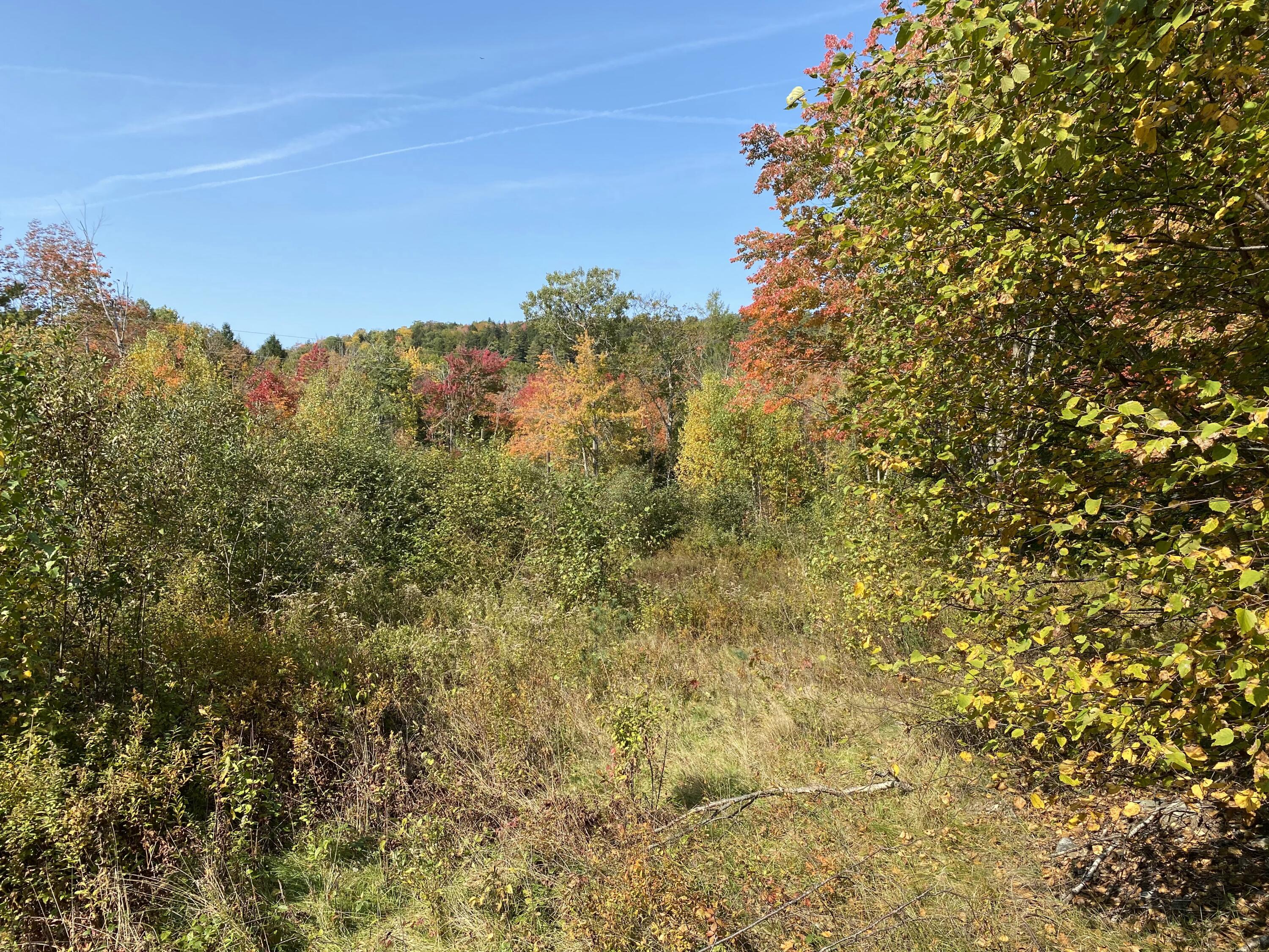 78 Ridge School Road Liberty, ME 04949 - Photo 2 of 10 09B56852-EC16-49CA-832C-634467D3CD46