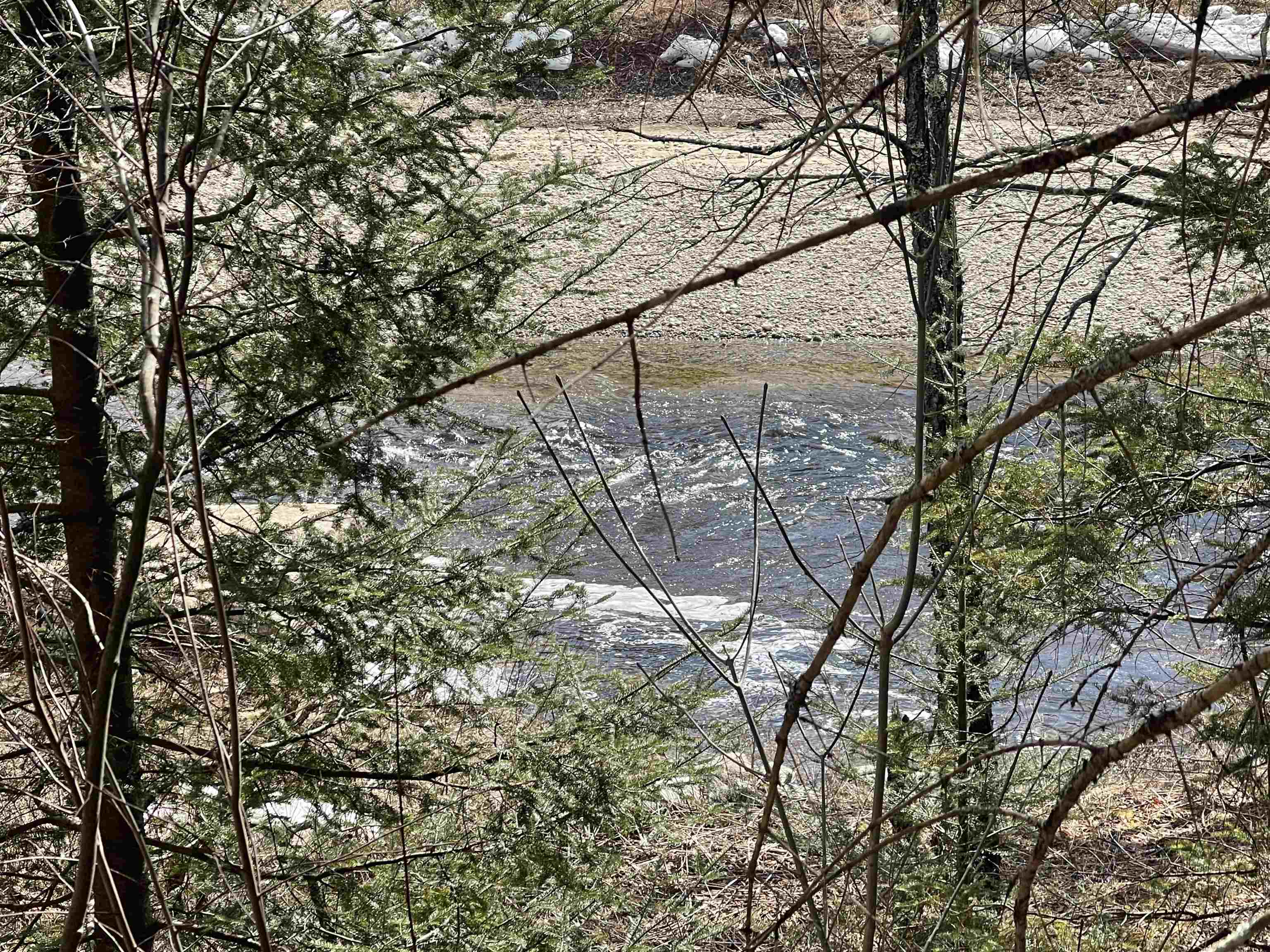 323 River Road Bethlehem, NH 03574 - Photo 6 of 26 Gallery Image 6