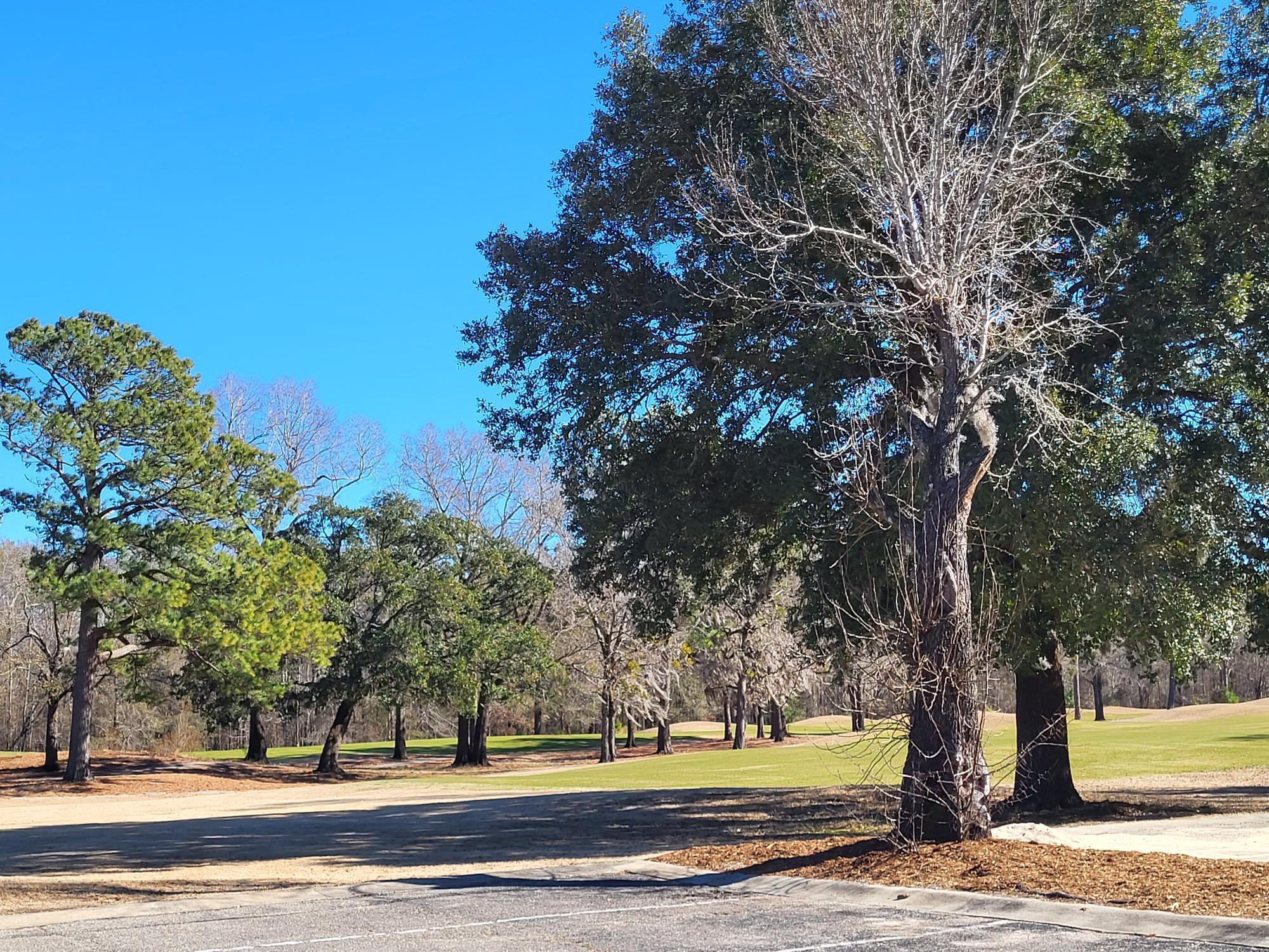 635 Bucks Trail Longs, SC 29568 - Photo 28 of 29
