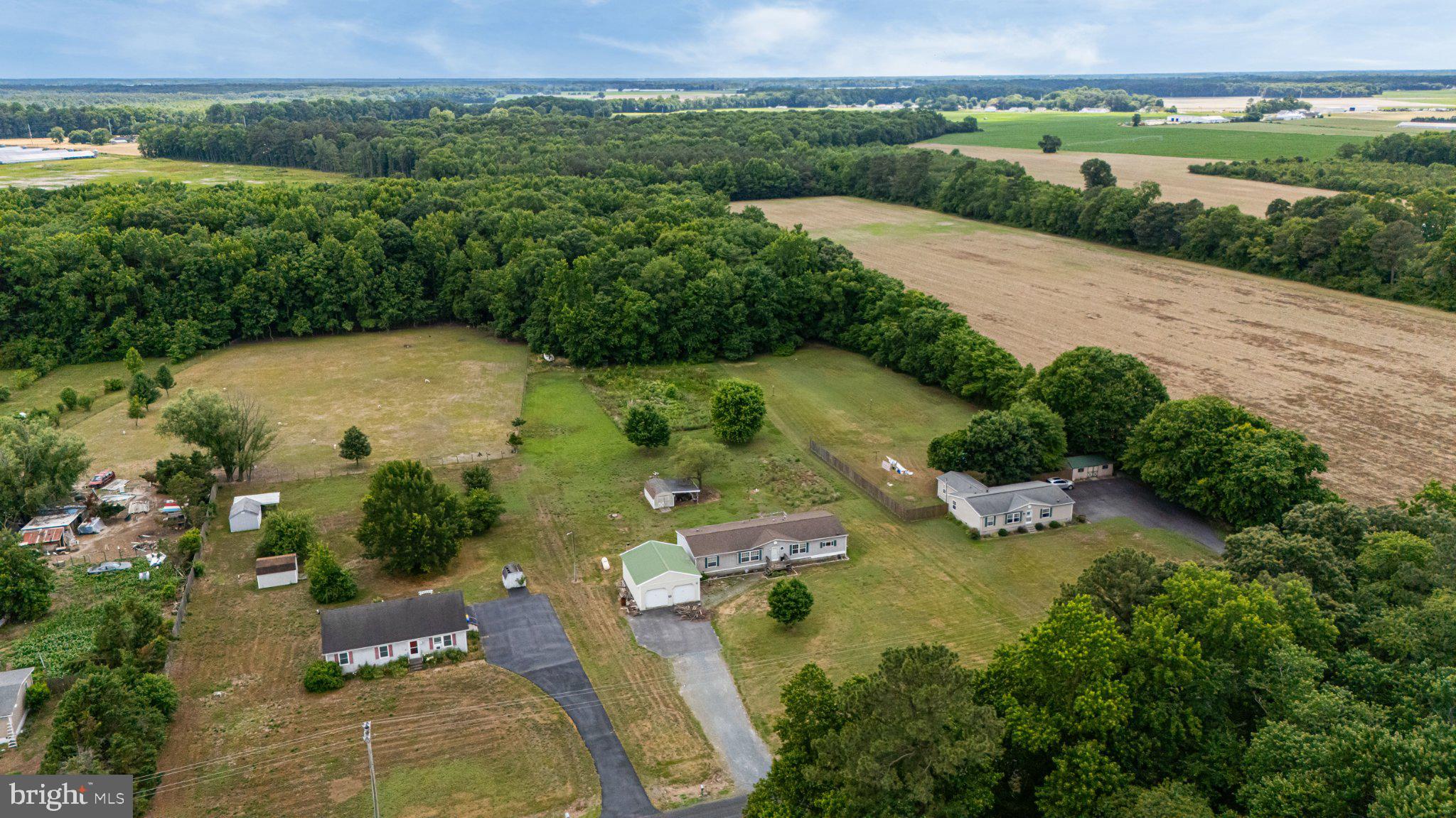 27864 Layton Road Laurel, DE 19956 - Photo 18 of 27 Sprawling countryside retreat awaits.
