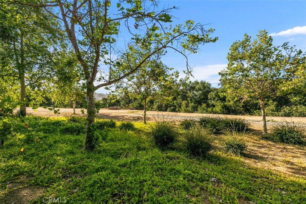9 Acorn Ridge Rancho Santa Margarita, CA 92688 - Photo 6 of 39 These are the views from the backyard