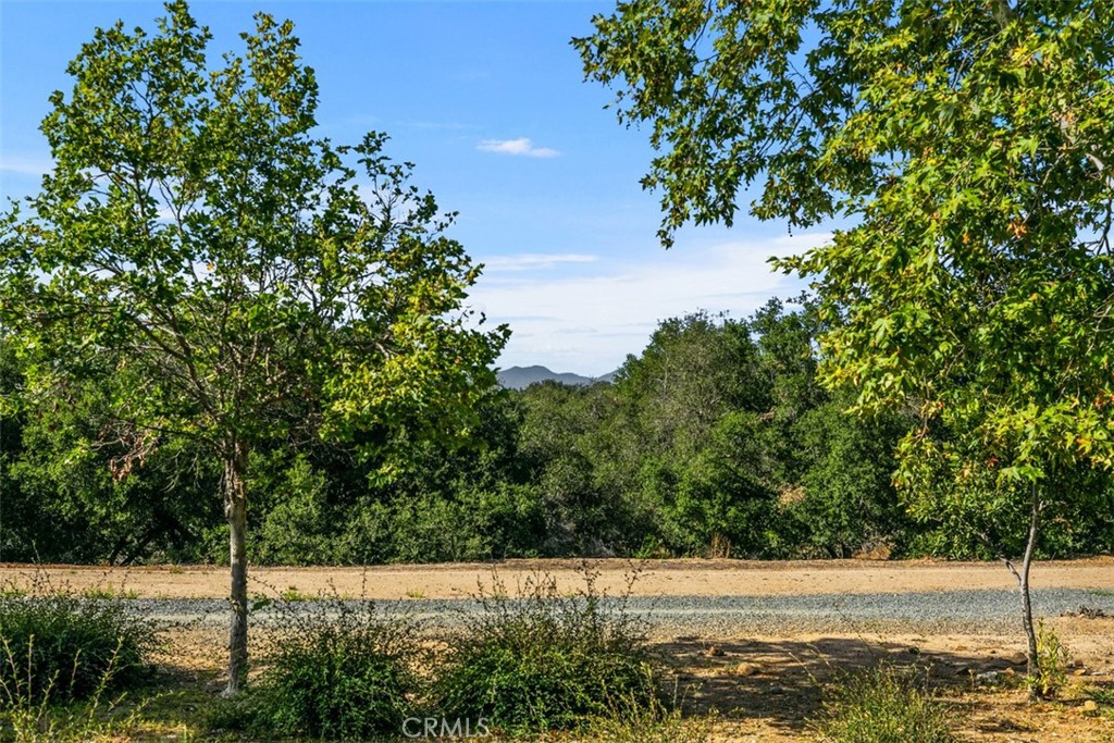 9 Acorn Ridge Rancho Santa Margarita, CA 92688 - Photo 7 of 39 Great walking paths just behind the backyard space