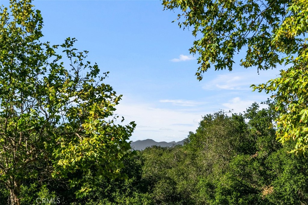 9 Acorn Ridge Rancho Santa Margarita, CA 92688 - Photo 10 of 39 Beautiful mature trees as well