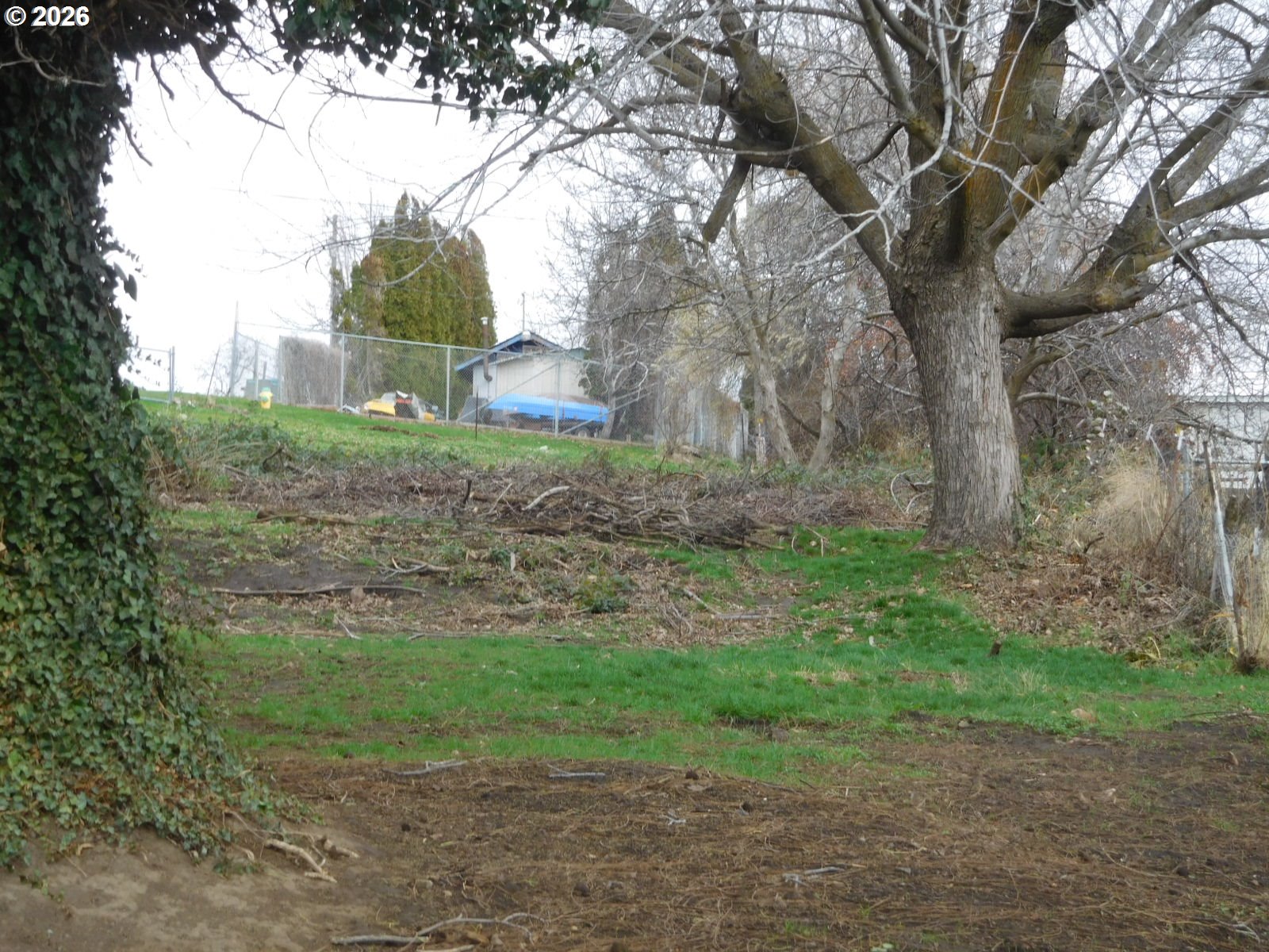 110 North Broad Street Weston, OR 97886 - Photo 8 of 22